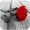 Immagini di %item_name%
