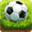 Imagen de Soccer Stars