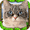 Imagen de Stray Cat Simulator